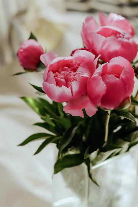 A bright and airy shot of a modern floral arrangement featuring soft pink peonies and fresh eucalyptus leaves in a clear glass vase.