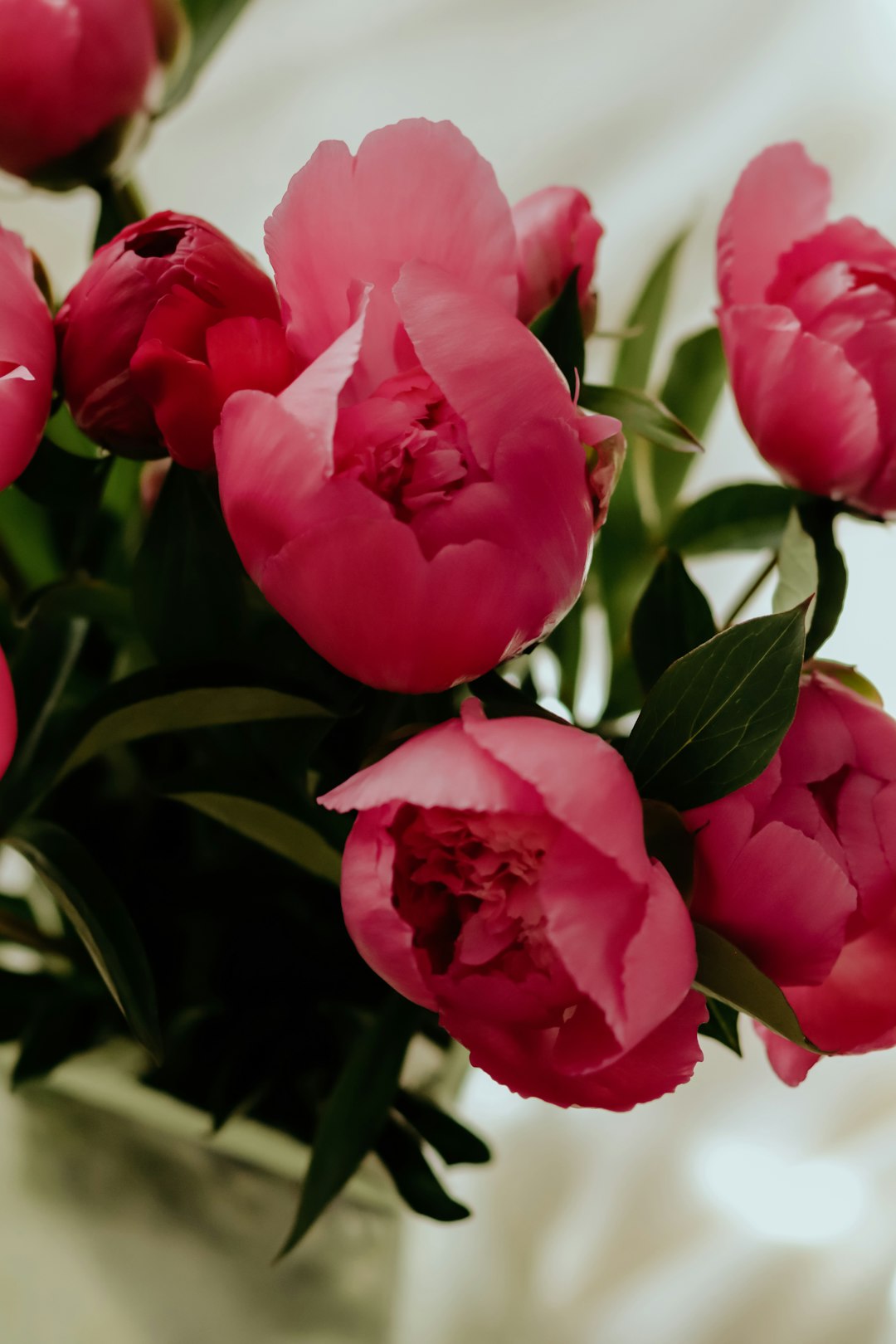 pink flowers in tilt shift lens