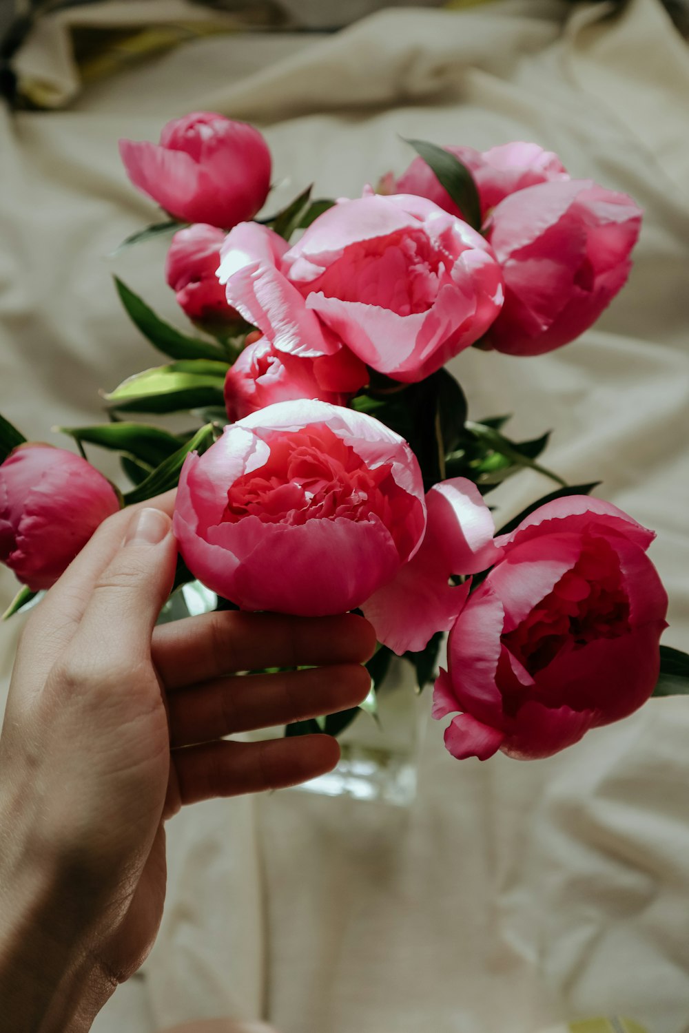 person holding pink flower bouquet