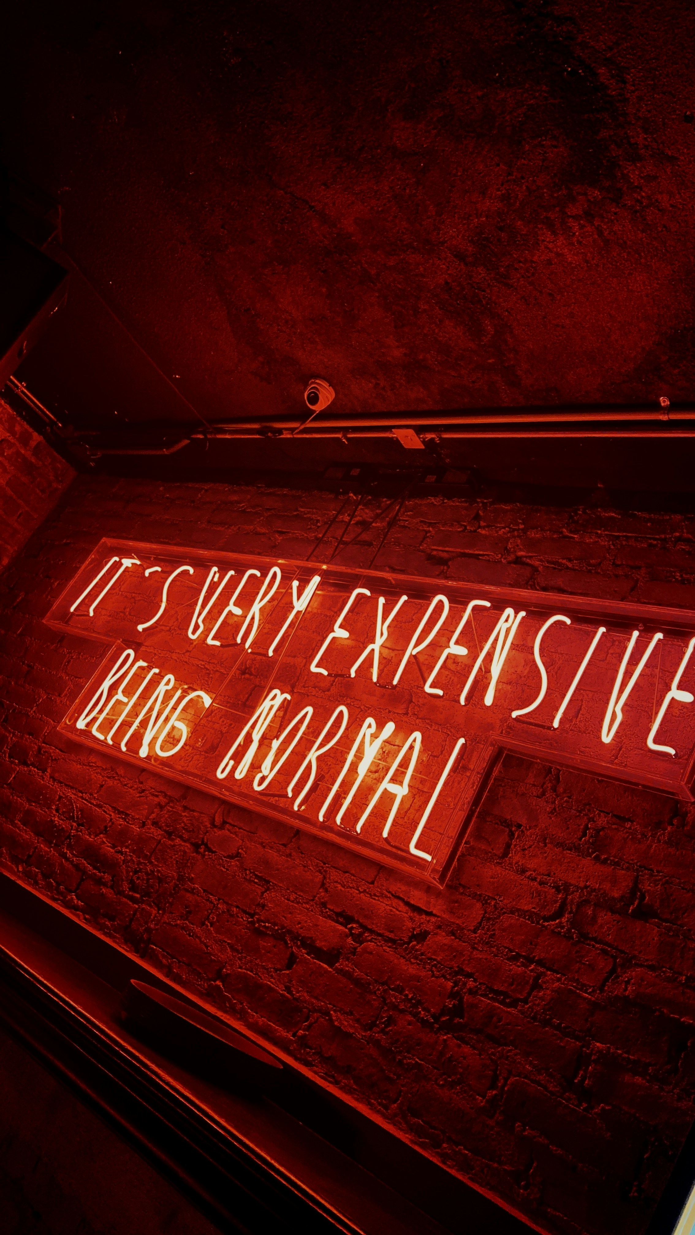 Red And White Happy Birthday Neon Light Signage Photo Free Image On Unsplash