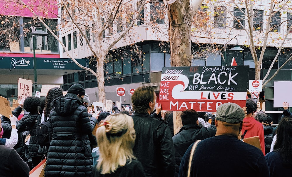 people standing near trees during daytime