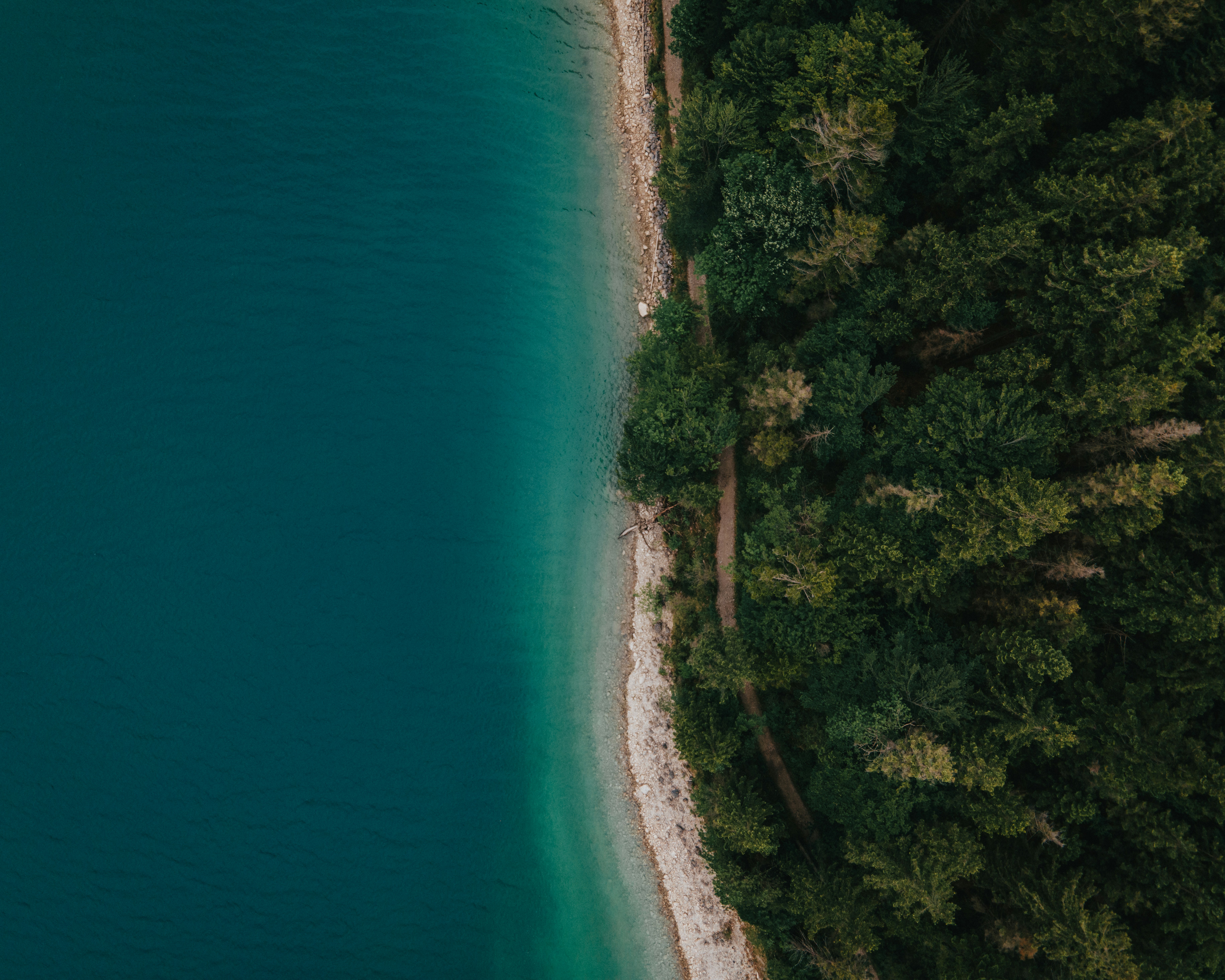 Photo by jakobkoerber