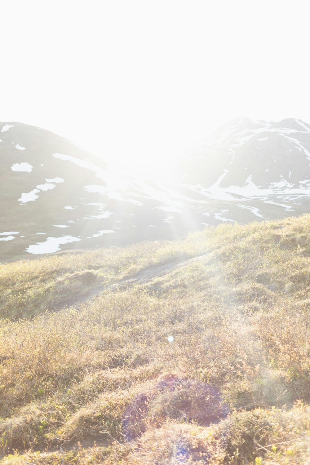 green grass field near snow covered mountain during daytime