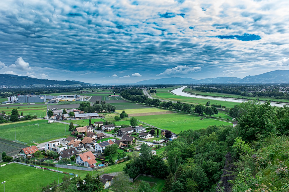 aerial view of green trees and green grass field during daytime