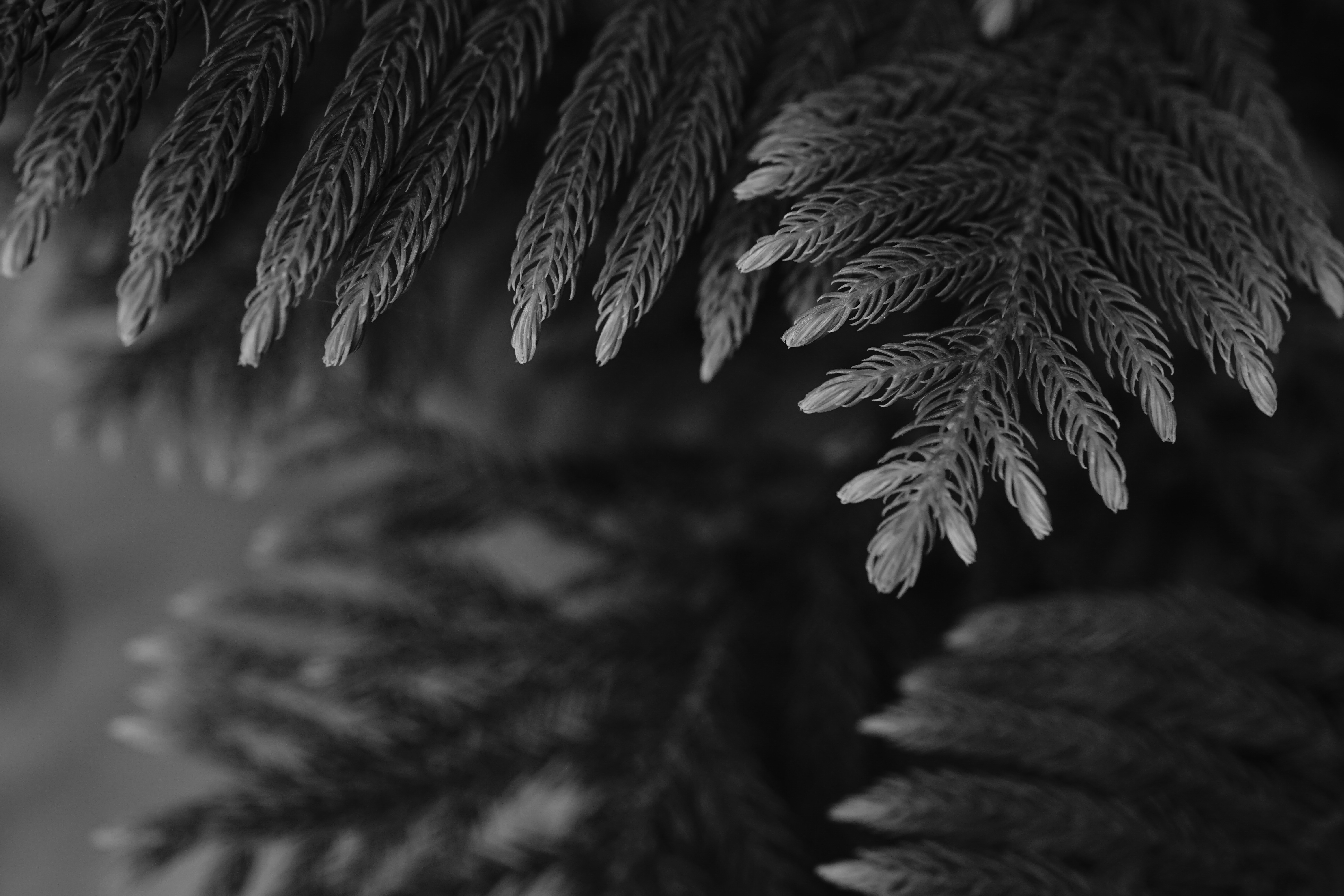 Photo by tarunrana_photography