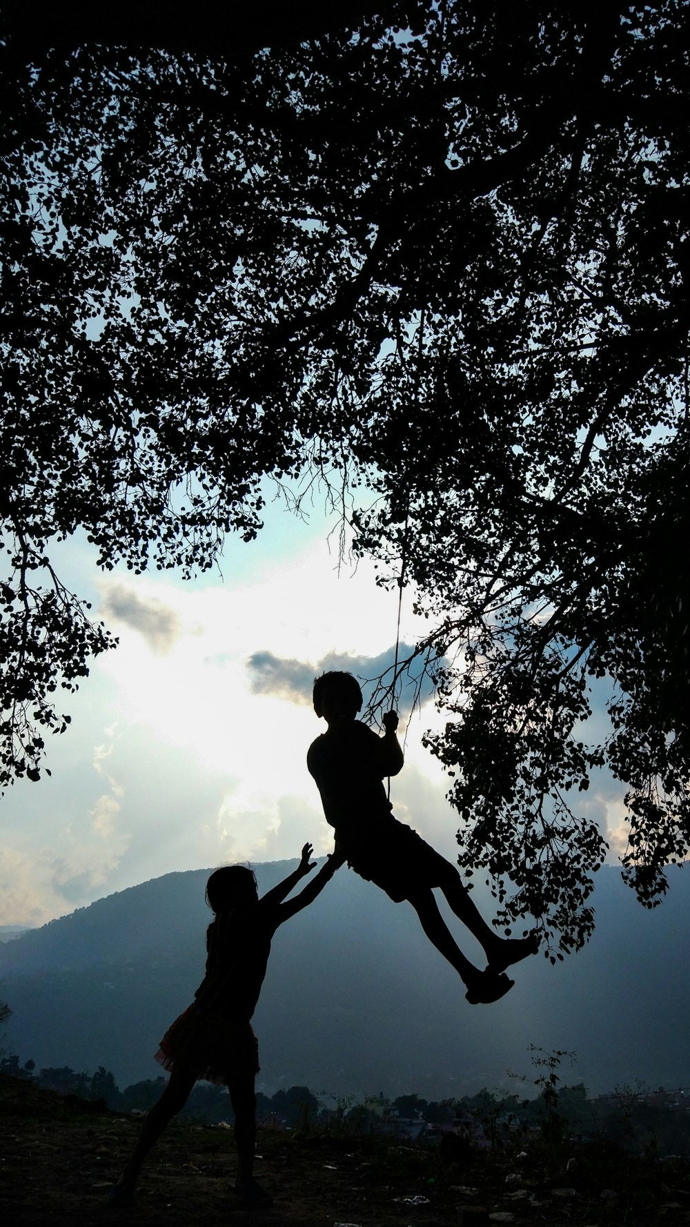 silhouette of man and woman kissing under tree during daytime