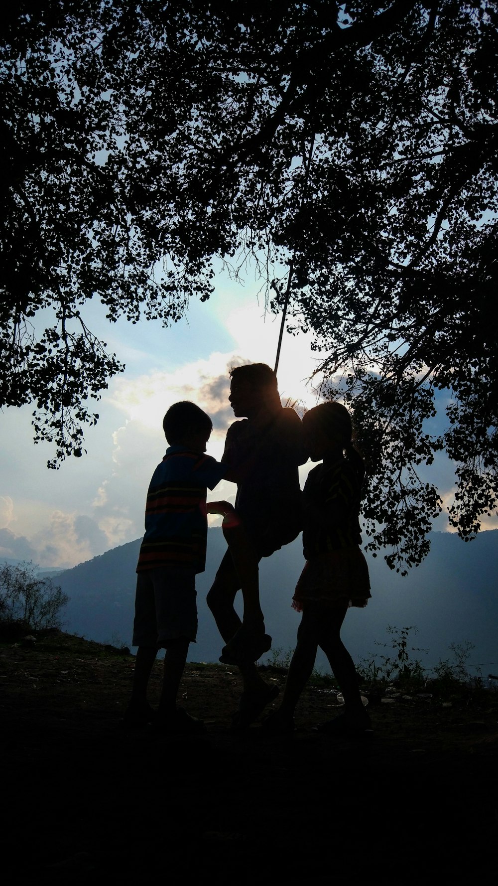 2 boys standing under tree during daytime