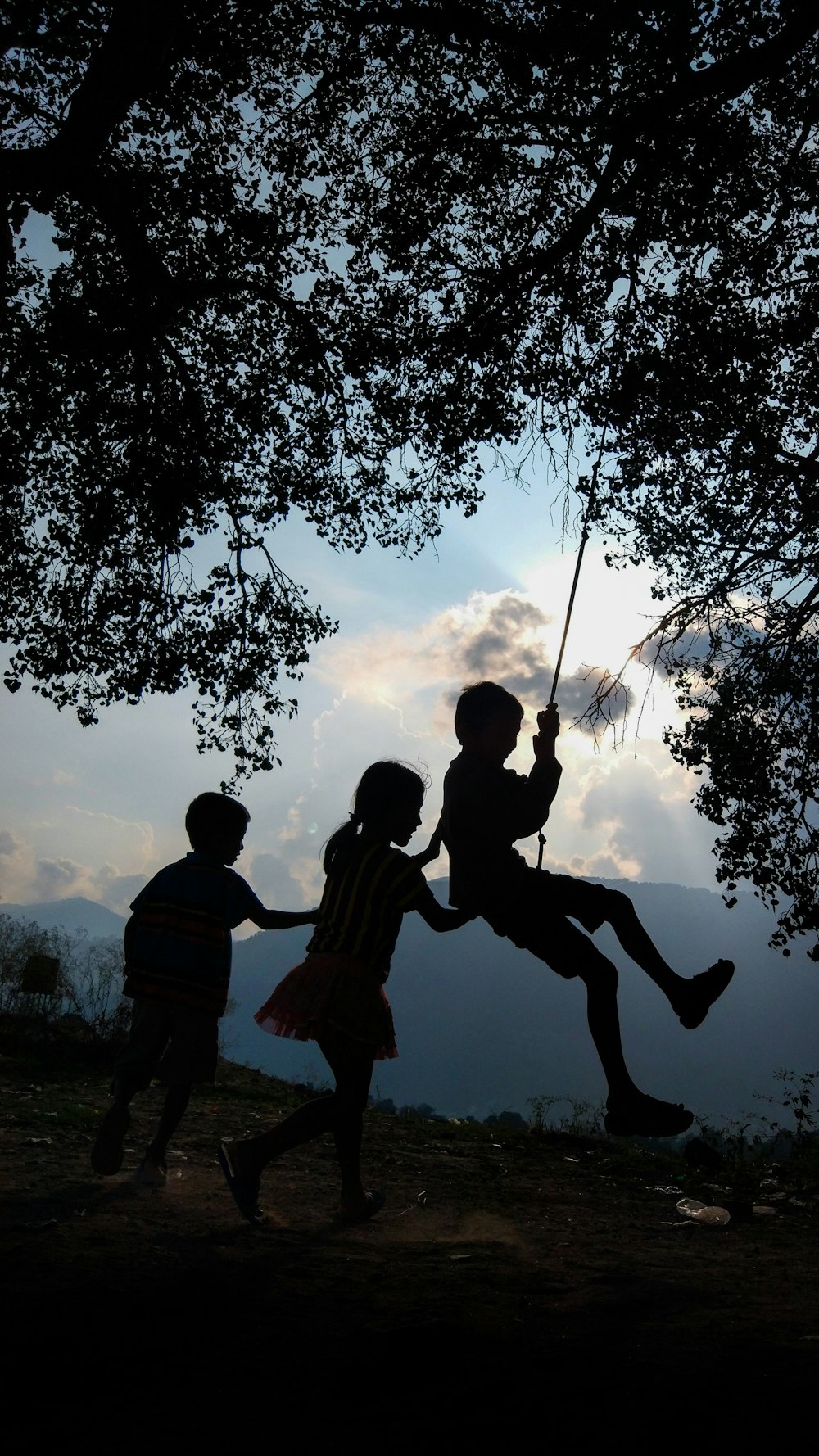 silhouette of 3 children sitting on swing under tree during daytime