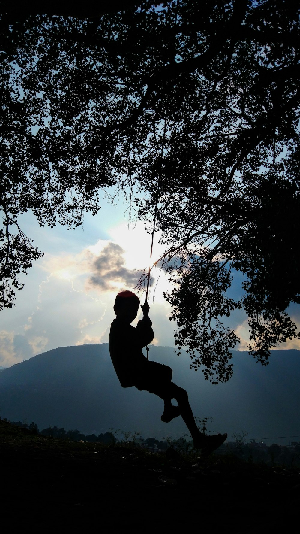 silhouette of man sitting on tree branch during daytime