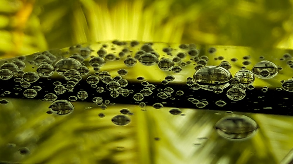 water droplets on yellow flower