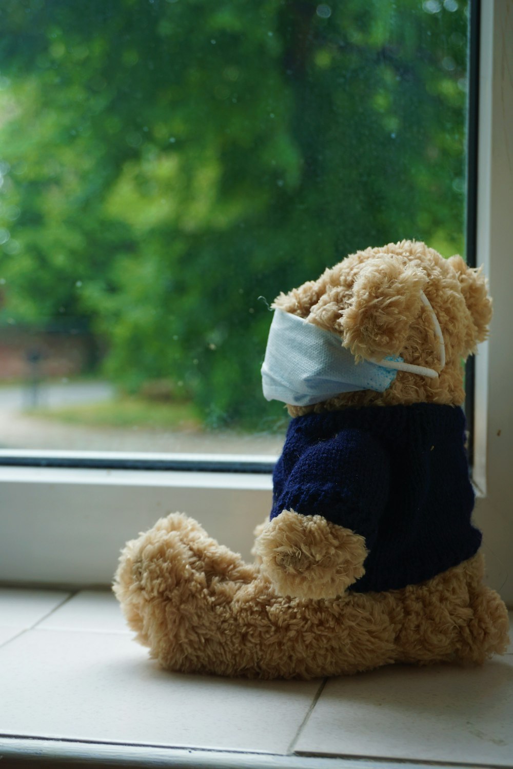 brown teddy bear wearing white knit cap
