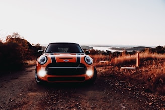 An orange car with black racing stripes is parked on a dirt path, surrounded by golden-brown vegetation. The background features a scenic view of a river or lake and distant hills under a clear sky.