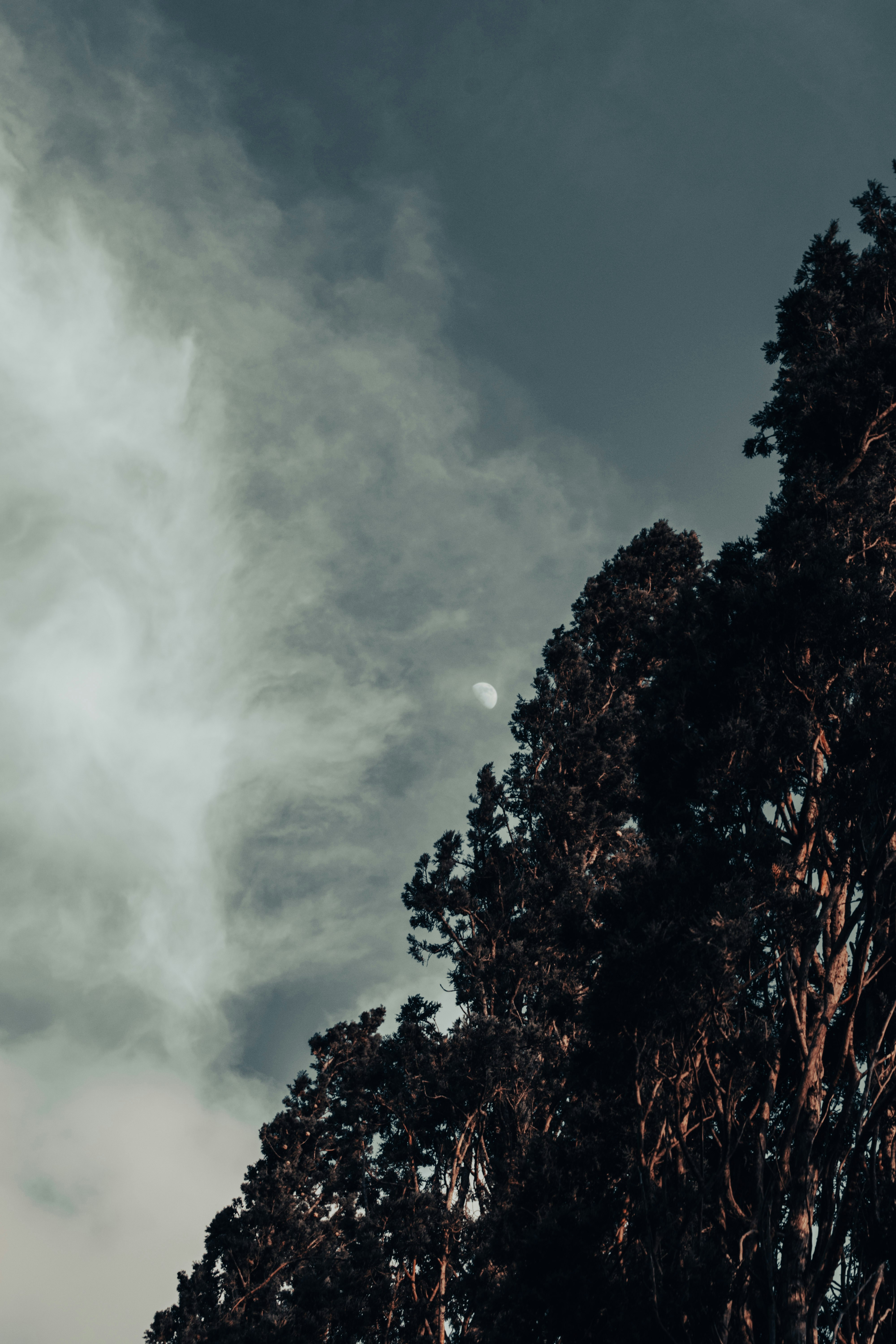 Photo by bilal_ayadi