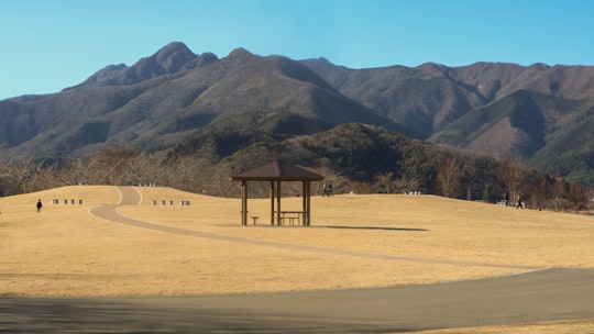 brown wooden house on brown sand during daytime in Lake Kawaguchi Japan