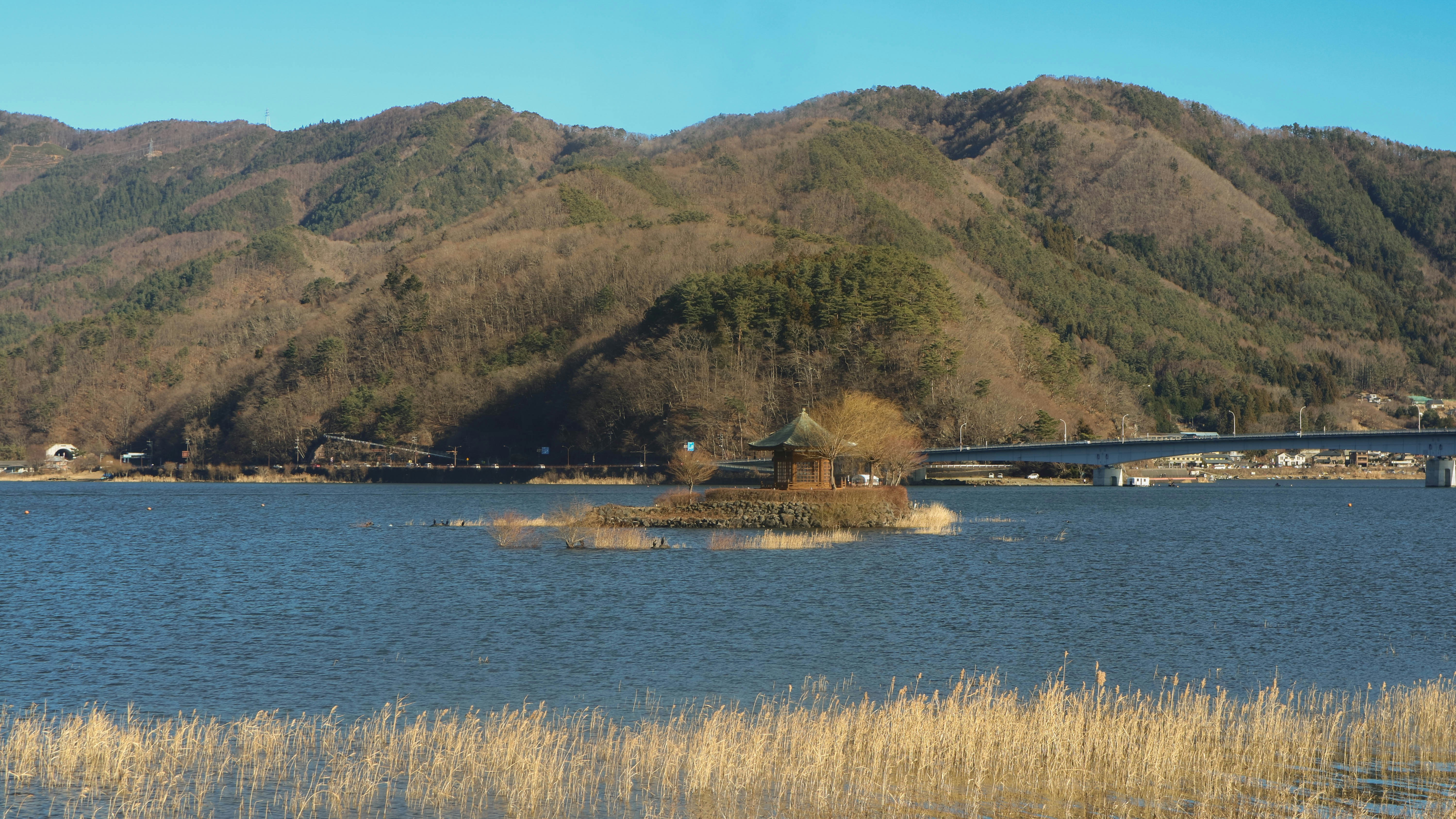 Photo by ifannuriyana