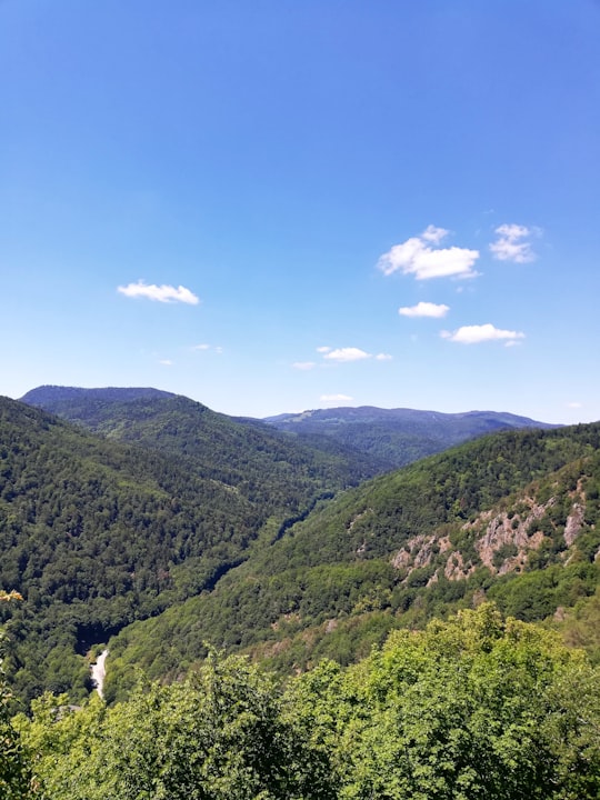 green mountains under blue sky during daytime in Ribeauvillé France