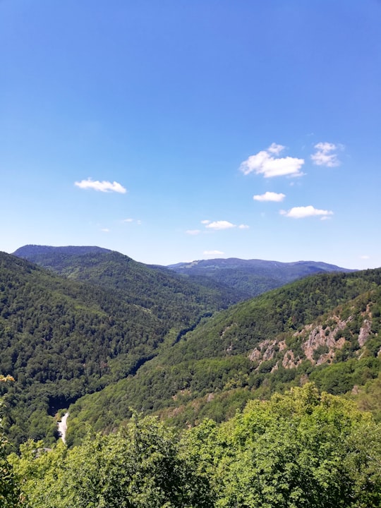 photo of Ribeauvillé Hill station near Grand-Ballon