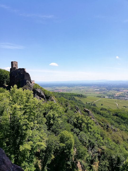 photo of Ribeauvillé Hill near Strasbourg