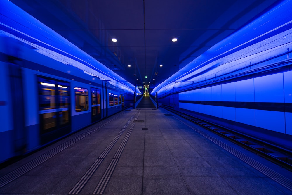 blue and white train in train station