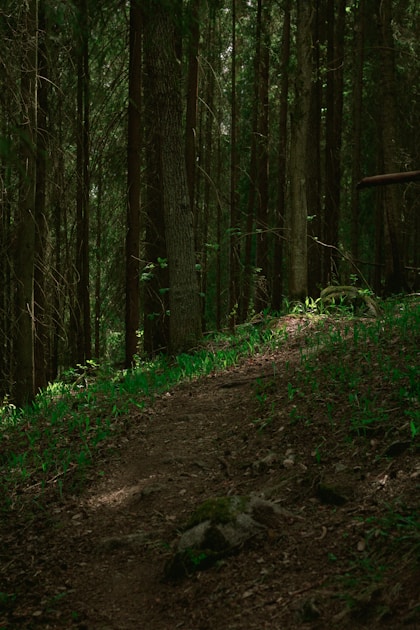 Hunter with binoculars glassing a mountain basin in the backcountry