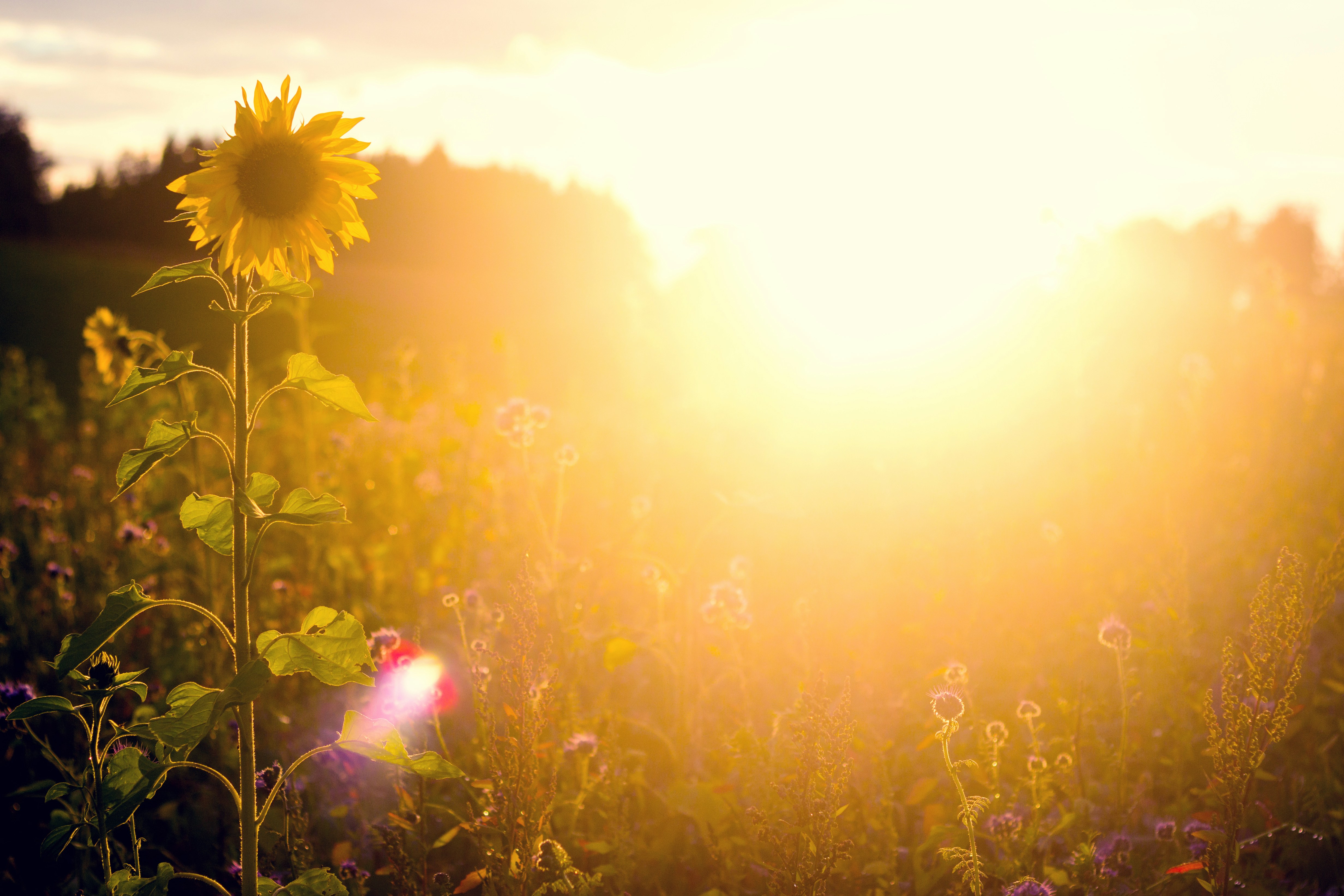Foto von hoch3fotografie auf Unsplash