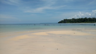 A serene landscape featuring a tranquil beach with clear blue waters and soft white sand.
