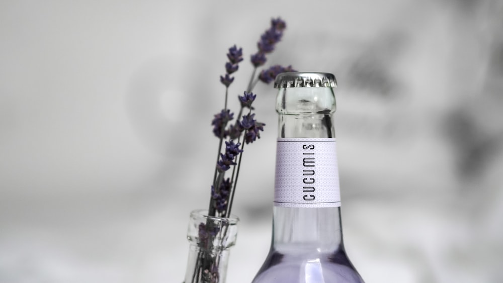 bouteille étiquetée violet et blanc
