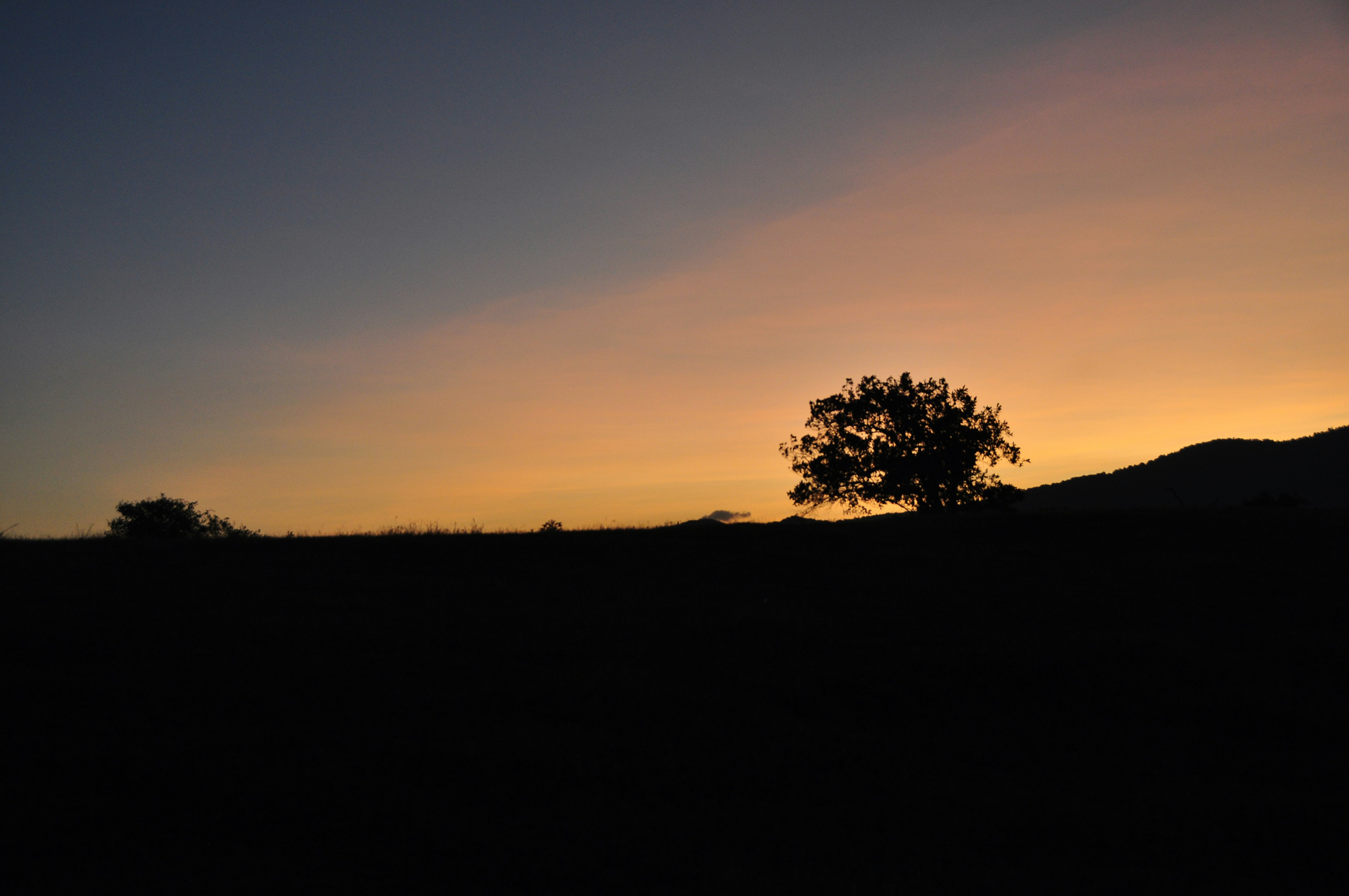 Photo by idonothingbutlove