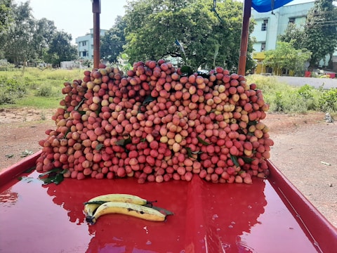 Workers sorting fresh lychee fruits in a processing facility.