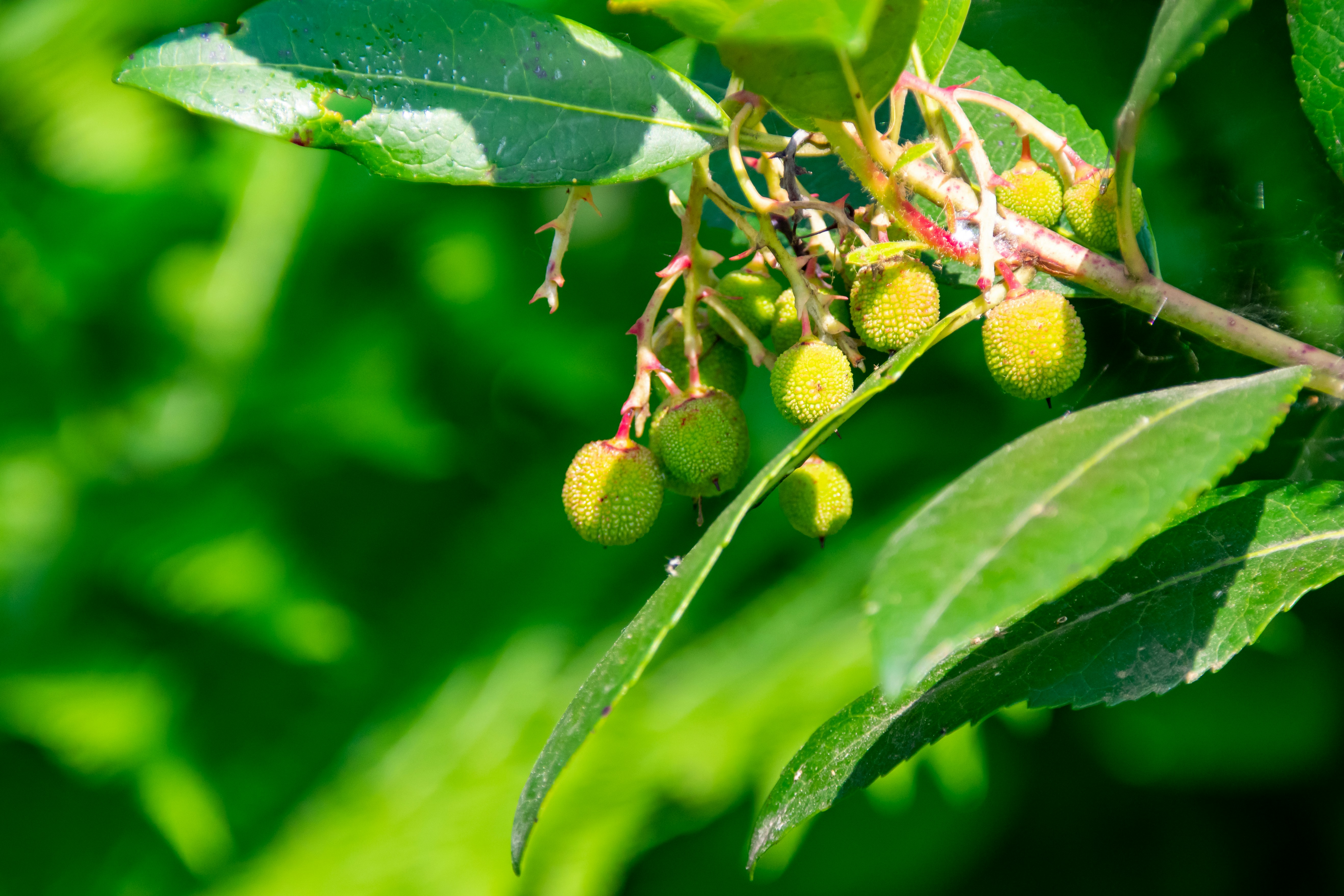 Photo by marc_renken