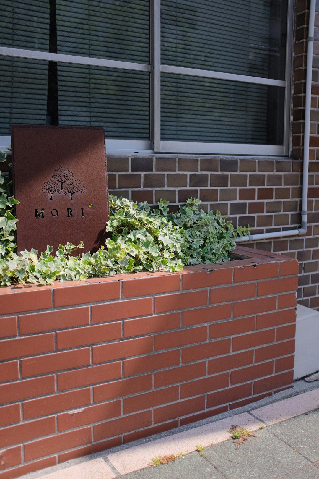 green plant on brown brick wall