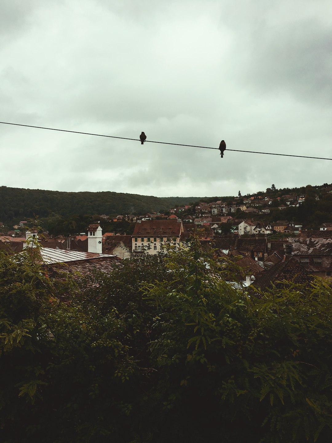 travelers stories about Hill in SighiÈ™oara Fortress, Romania