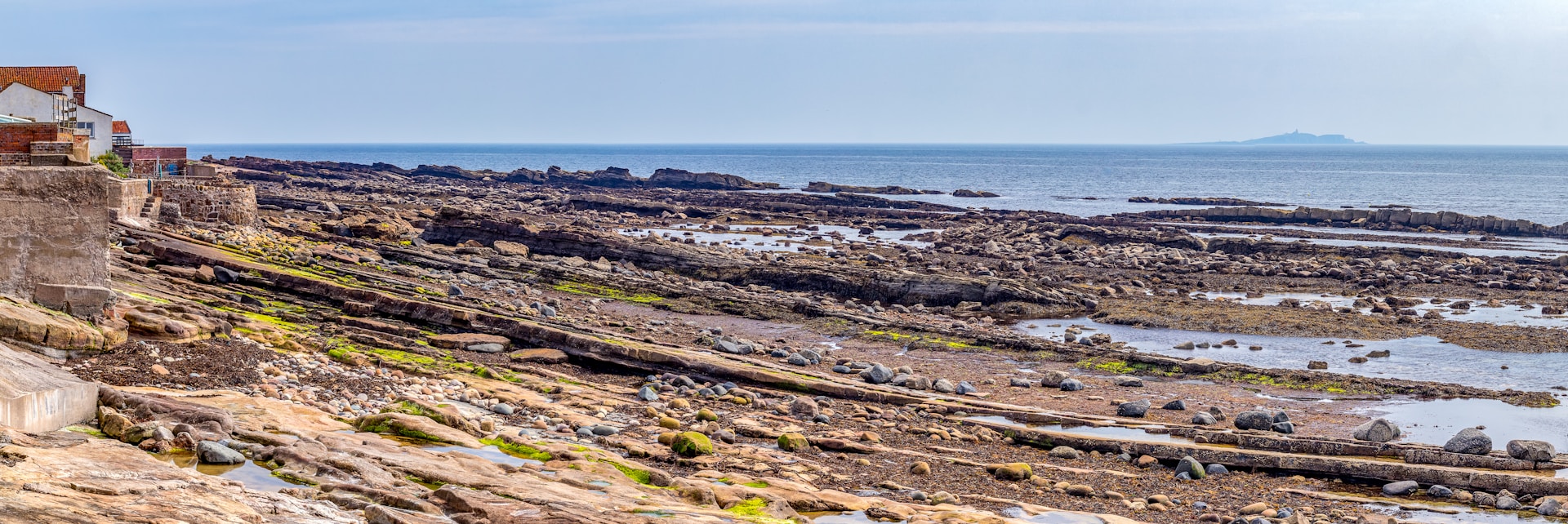 brown and green rocks on beach during daytime