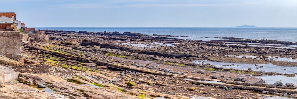 brown and green rocks on beach during daytime