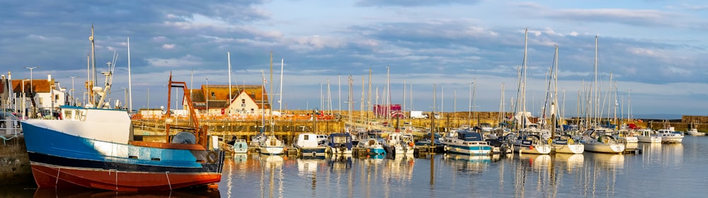 white and blue boats on dock during daytime