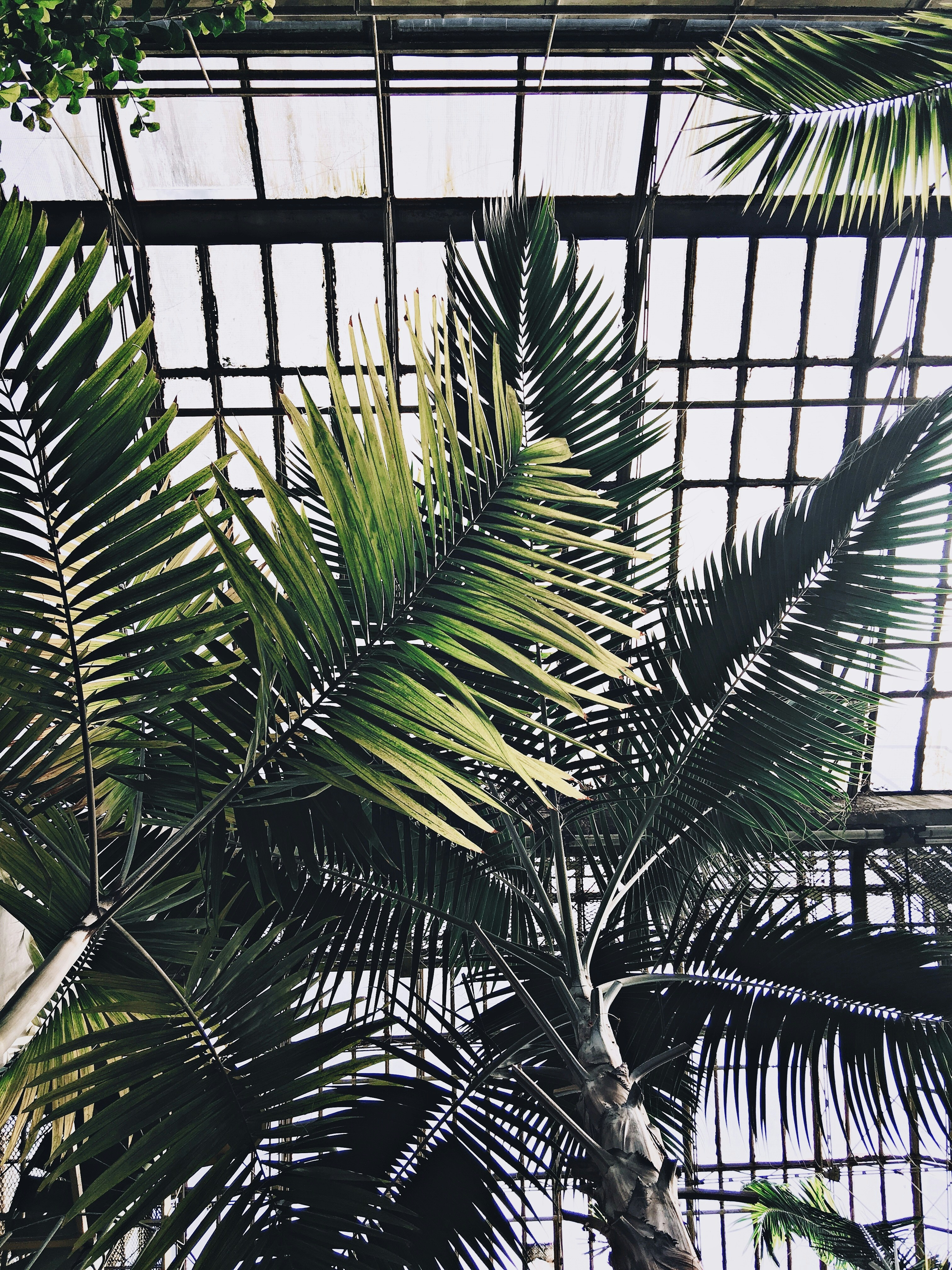 Photo by stefangalescu