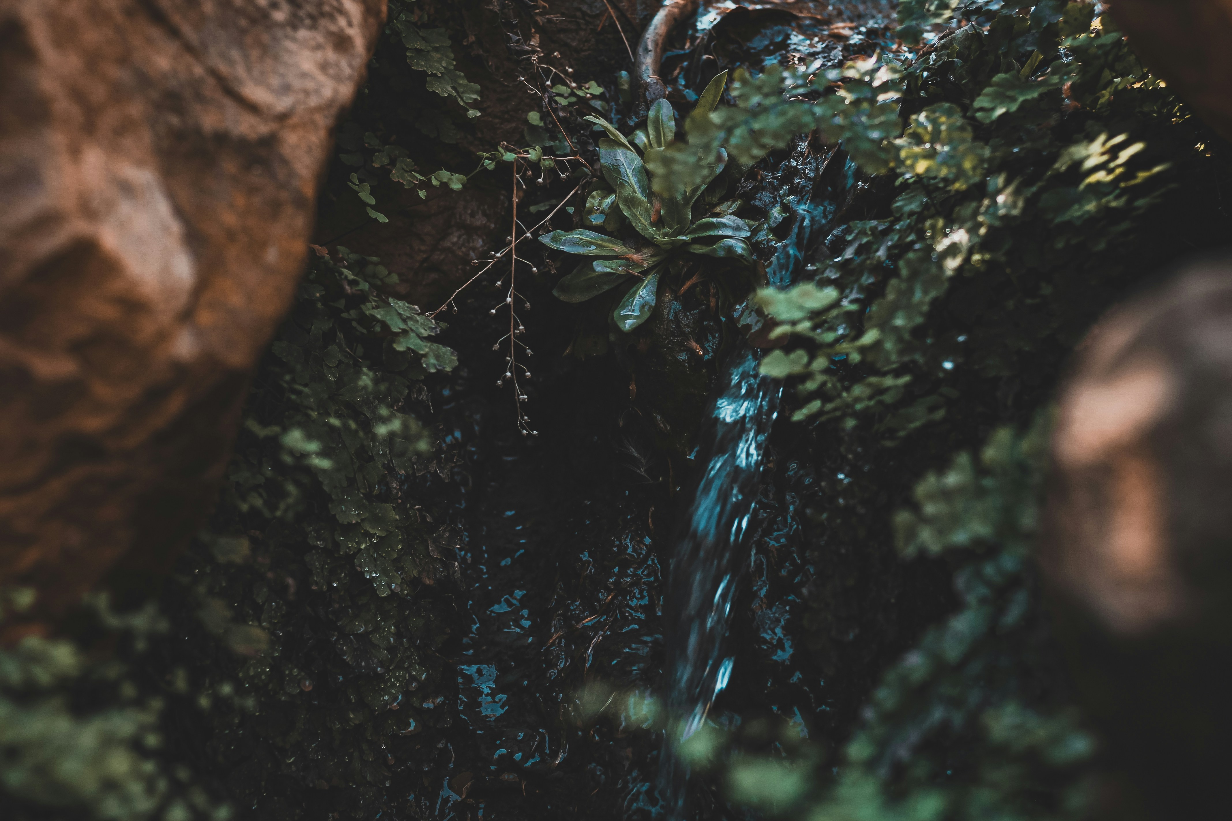 Photo by lamine__belhadj