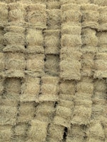 brown wheat field during daytime