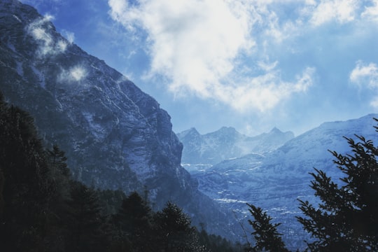 green trees near mountain under white clouds and blue sky during daytime in Sikkim India