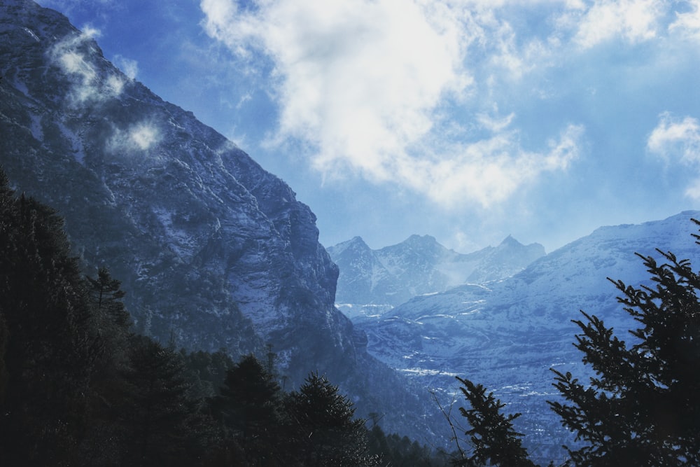 green trees near mountain under white clouds and blue sky during daytime