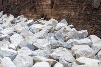 A collection of gray and beige rocks lies at the base of a large, textured wooden log. The stones are irregularly shaped and vary in size, creating a visually interesting contrast against the dark, rough surface of the wood.