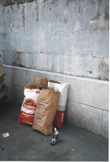 Several bags of flour, one labeled with the brand 'banette,' are placed against a textured stone wall. A black and white pigeon stands in the foreground near the bags.