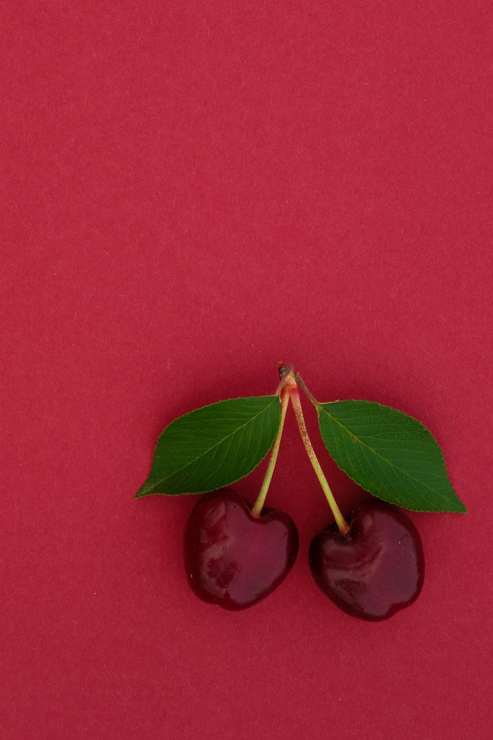 red and green leaf on red textile