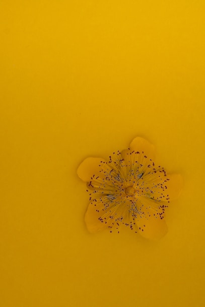 white flower shaped glass decor