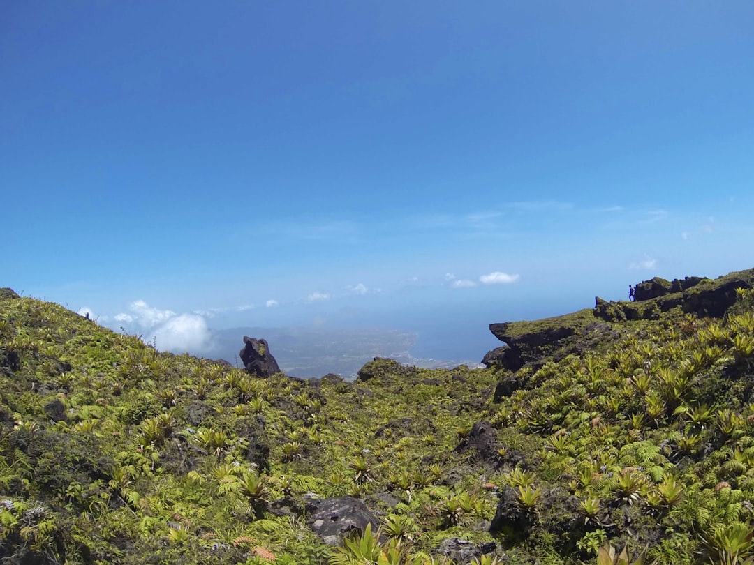7 Underrated Caribbean Shore Excursions That Blend Adventure and Cu… — 7 Underrated Caribbean Shore Excursions That
