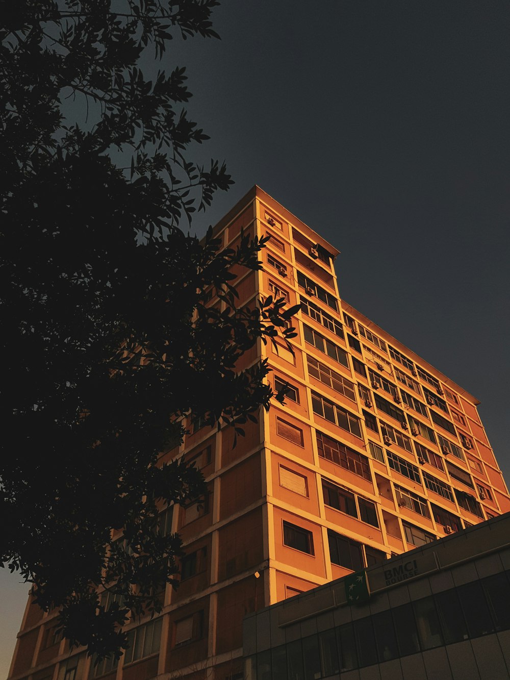 brown concrete building during nighttime