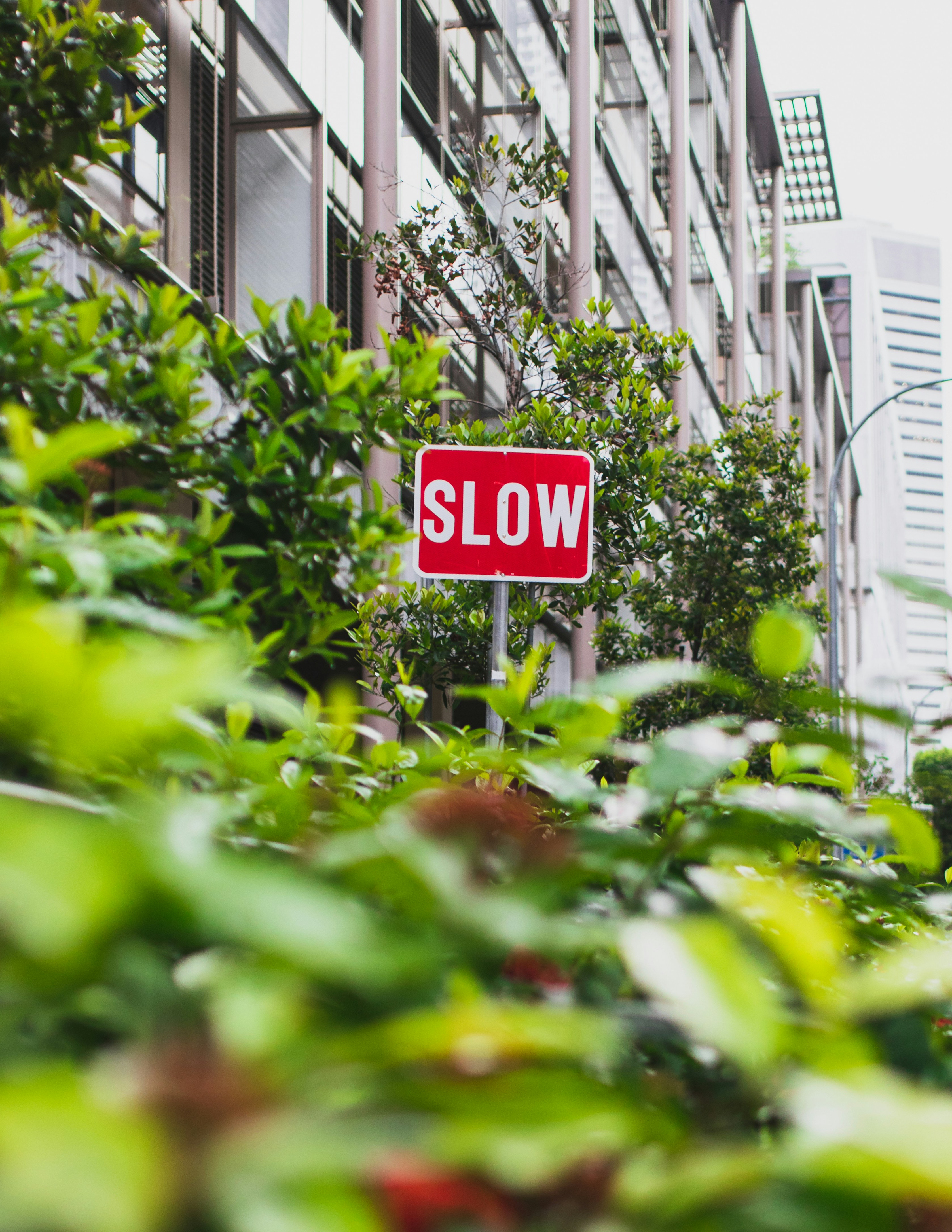 red and white stop sign