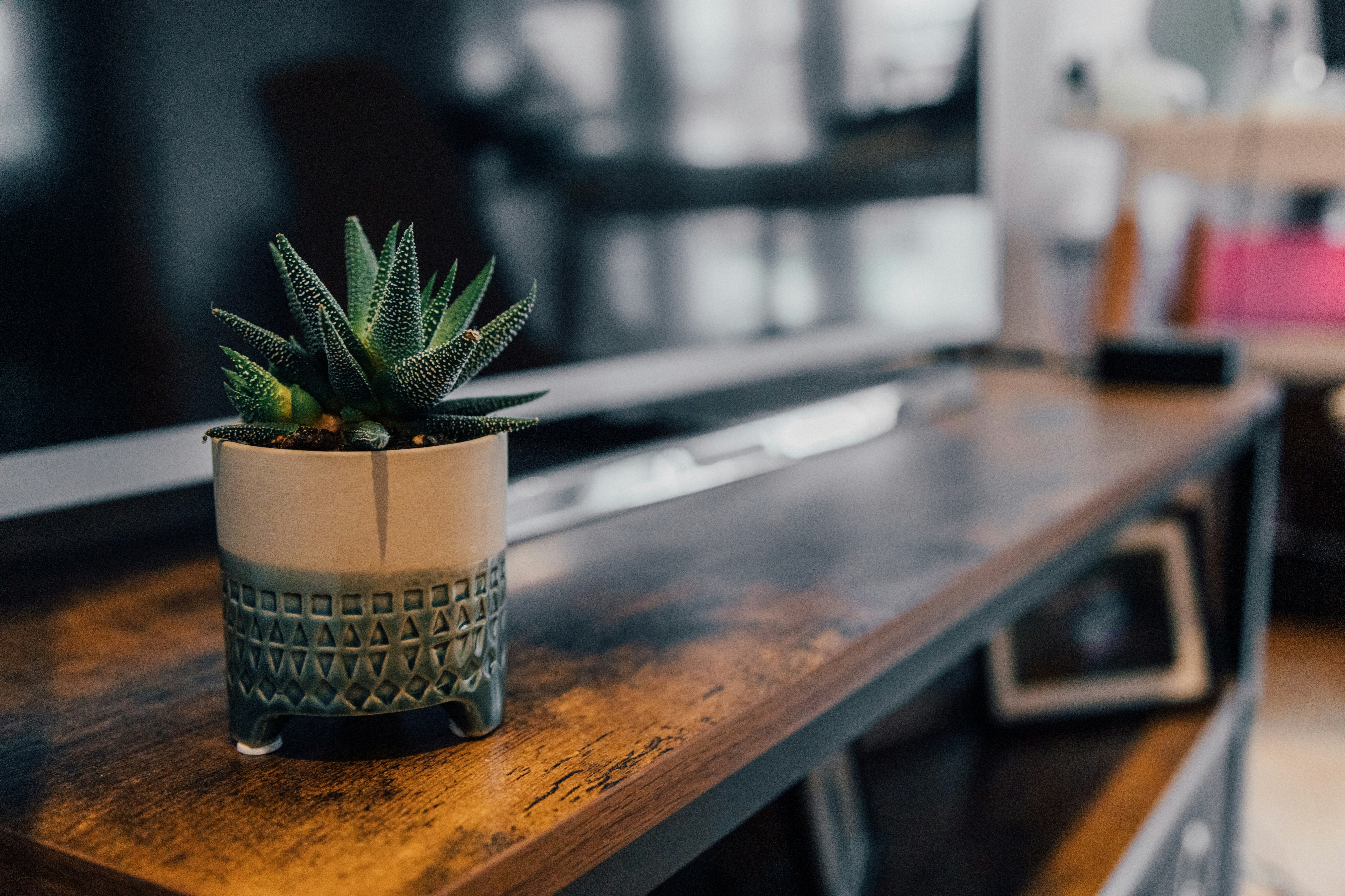 Photo by nicolasjleclercq