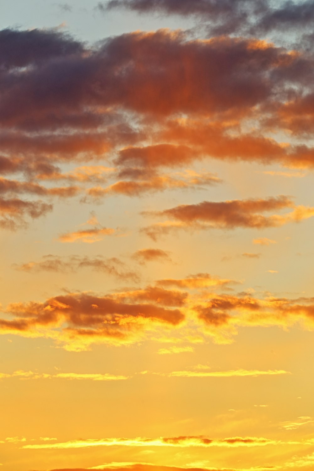 orange and black clouds during sunset