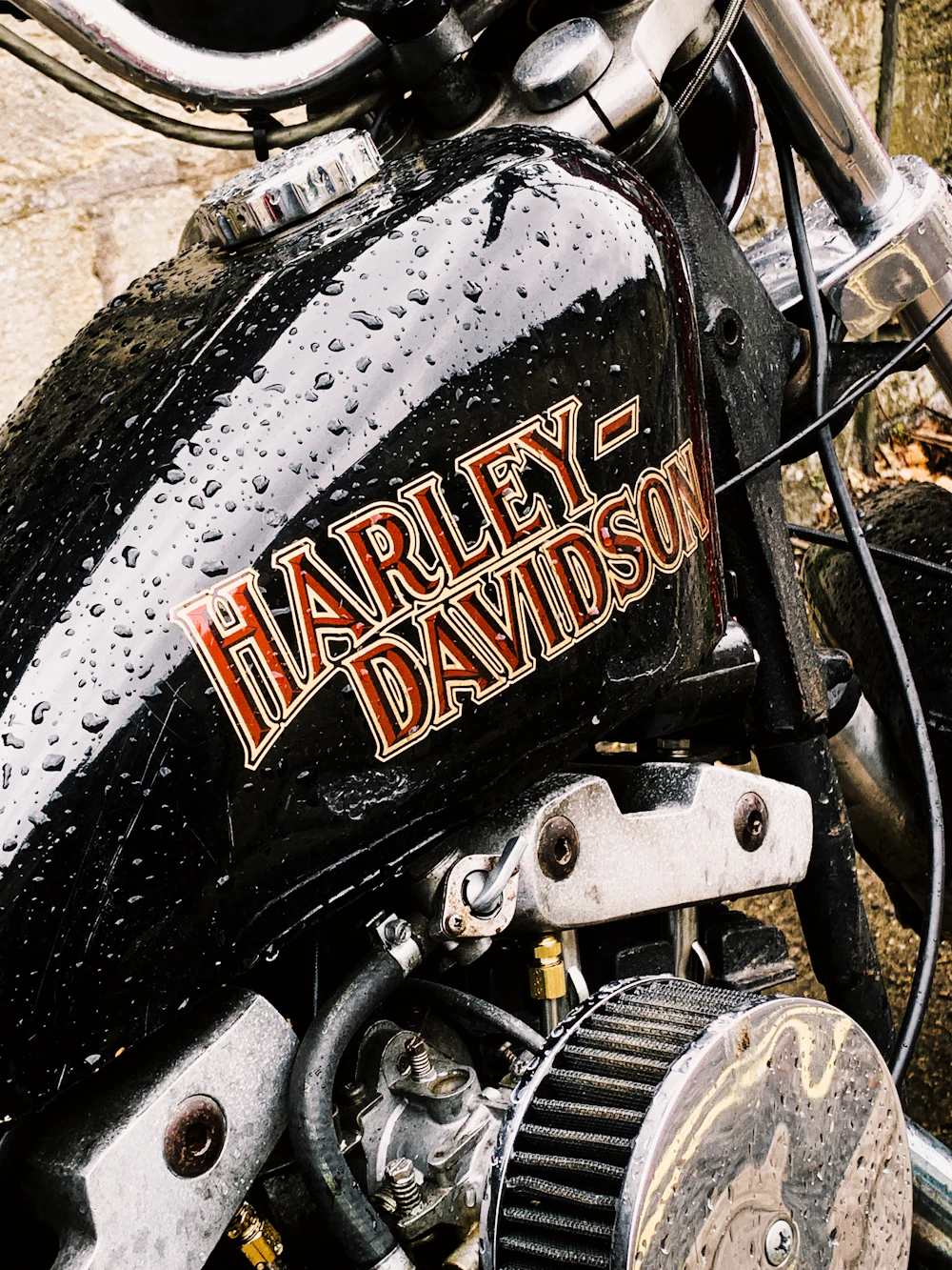 Premium Harley-Davidson motorcycle detail